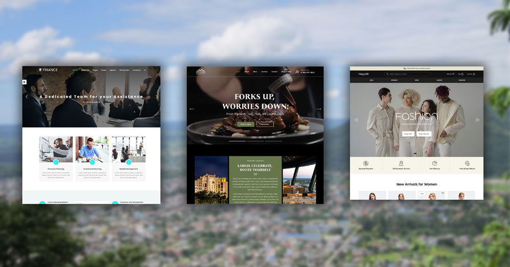 Website Design in Hetauda – Mega Web Link